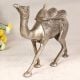 Shiny Handmade Brass Camel Statue in Silver Finish for Decor