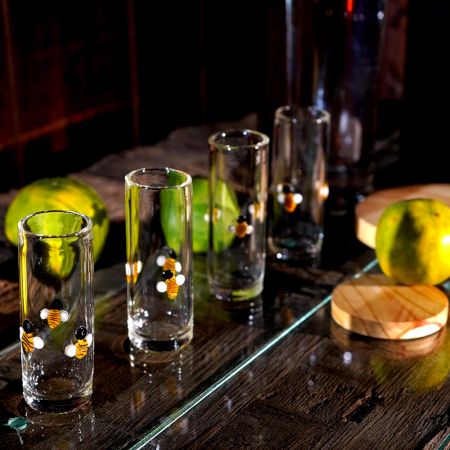 Beautiful Transparent Shot Glasses for Home Decor in Set of 4