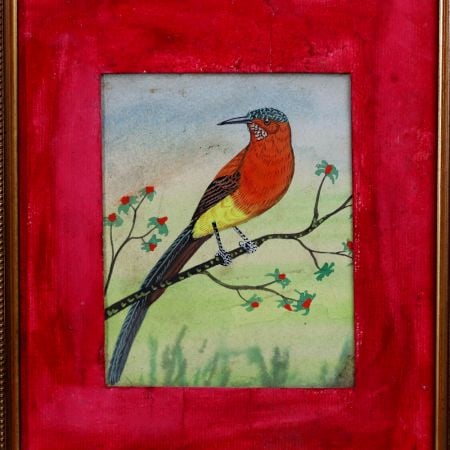 Fine Water Colour Painting of Bird in Frame for Decoration