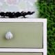 Sea Green Cream Sea Shell Dresser Knob