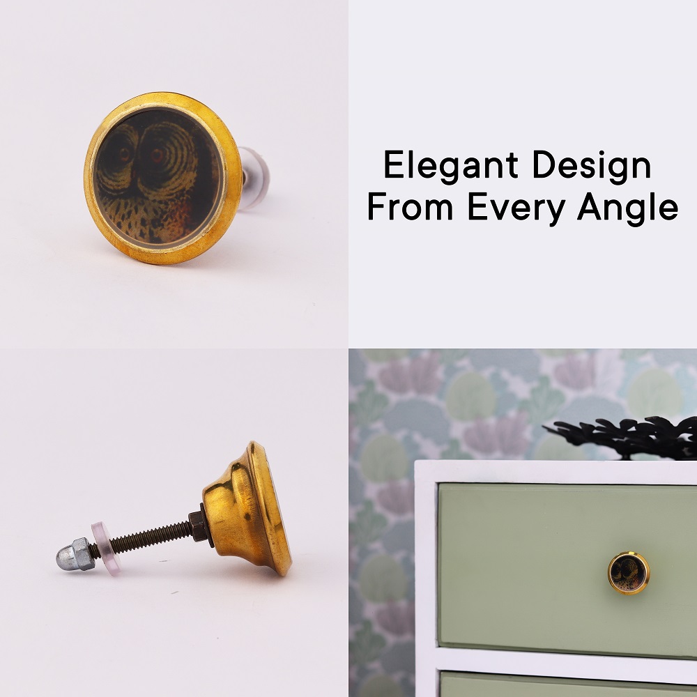 Multicolor Owl Wheel Flat Metal Cabinet Knobs