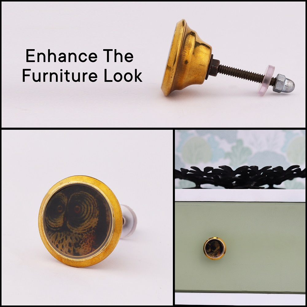 Multicolor Owl Wheel Flat Metal Cabinet Knobs