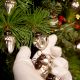 25 Pieces Silver Glass Ornaments For Tree Decoration