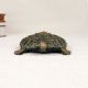 High-Quality Brass Turtle Yantra of Lord Ganesha for Prayer