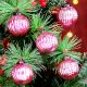 12 Pieces Pink Glass Christmas Ornaments For Tree Decoration