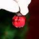 Melon Shape Glass Christmas Ornaments