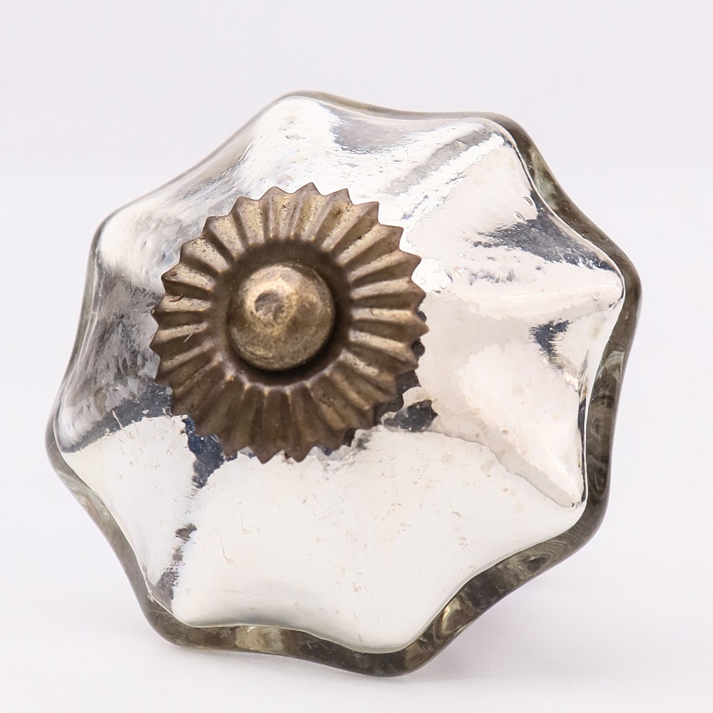Shining Silver Knob