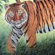 Hand Painted Tiger Hardboard Painting for Home Decoration