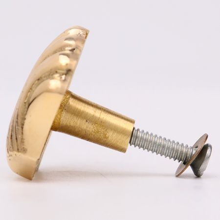 Solid Golden Shell Brass Drawer Knob