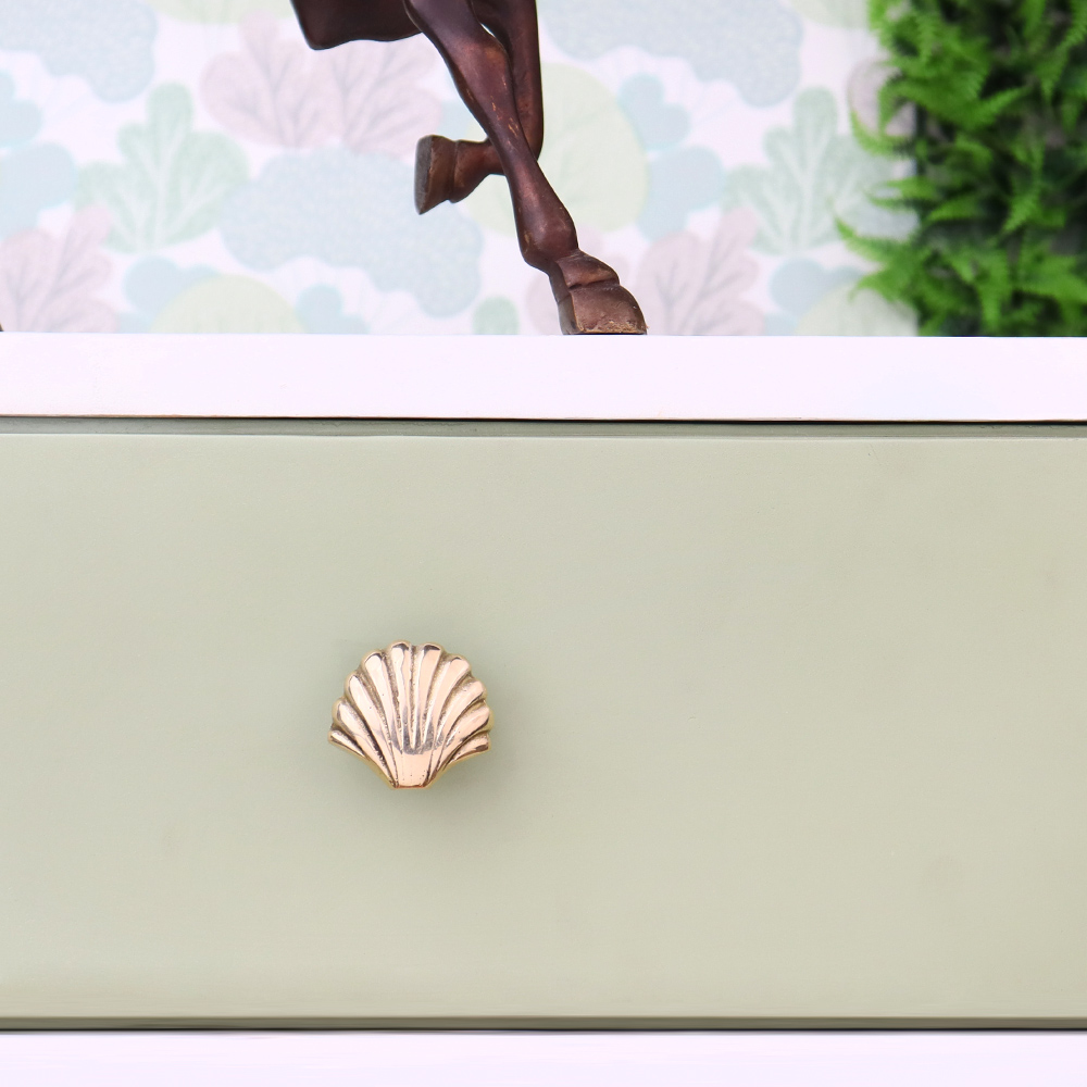 Solid Golden Shell Brass Drawer Knob