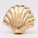 Solid Golden Shell Brass Drawer Knob