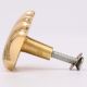 Solid Golden Shell Brass Drawer Knob