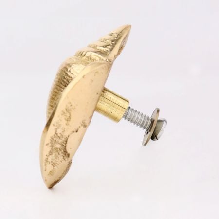Golden Brass Conch Shell Drawer Knob