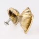 Golden Brass Conch Shell Drawer Knob