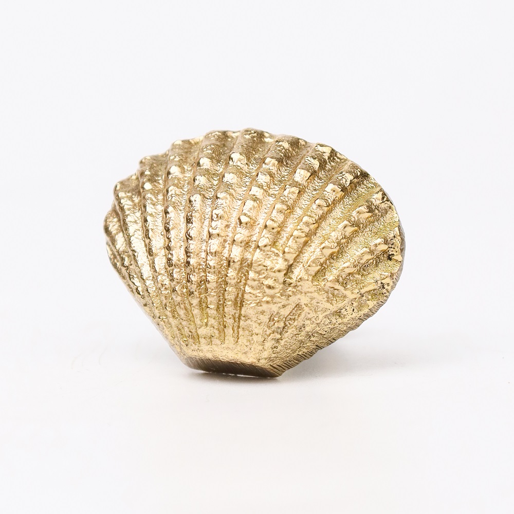 Golden Solid Brass Shell Drawer Knob