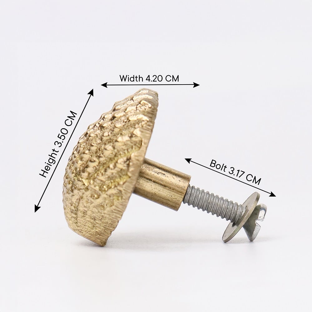 Golden Solid Brass Shell Drawer Knob