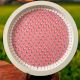 Pink Cemented Plate for Home Decor