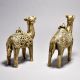 Exquisite Tribal Camel Pair with Jali Work