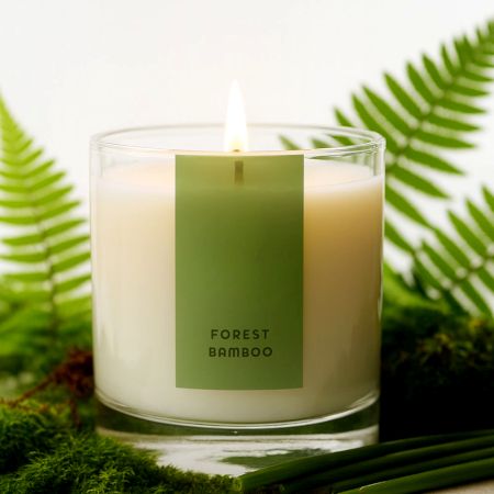 Forest Bamboo Essence Tranquil Scented Soy Wax Candle