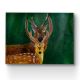 Handpainted Majestic Deer Pair Against Deep Green Background