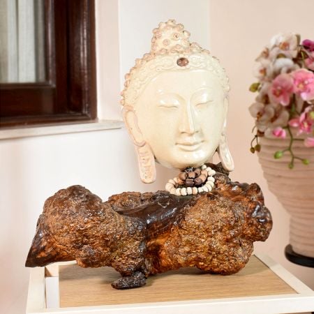 Premium Ceramic Buddha Sculpture by Artist Meena Vohra