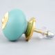 Solid Sea Green Knob