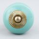 Solid Sea Green Knob