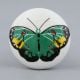 Green Butterfly Kids Knob