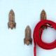 Natural Wooden Adhesive Rocket Shape Coat Wall Hook-Pack of 3
