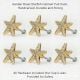 Handcrafted Golden Brass Starfish Cabinet Pull Knob-1 Piece