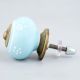 Turquoise Floral Knob