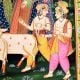 Radha Krishna Pichwai Painting with Sacred Cows