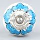 White Turquoise Floral Painted Knob