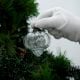Vintage Clear Onion Shaped Glass Christmas Ornament