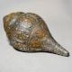 Brass Engraved Shankh Conch Decorative Religious Artifact