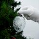 Clear Avocado Box Cut Christmas Hanging
