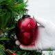 Red Avocado Star Cut Christmas Hanging