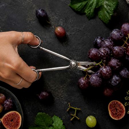 Handcrafted Silver Grape Shears Classic Fruit Scissors