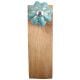 2 Pieces Light Blue Golden Leaf Big Melon Ceramic Wooden Door Stopper