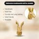 6 Pieces Golden Rabbit Metal Cabinet Knobs