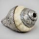 Vintage Silver Wrapped Conch Shell with Floral Engraving