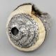 Vintage Silver Wrapped Conch Shell with Floral Engraving