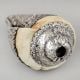 Vintage Silver Wrapped Conch Shell with Floral Engraving