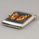 Birmingham Sterling Silver Butterfly Enamel Vesta Case