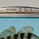 Birmingham Sterling Silver Enamel Perch Fish Vesta Case