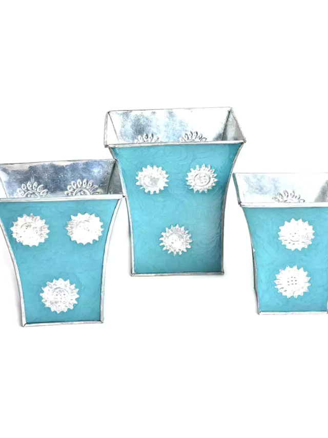 Why do clay pots feel like home to plants?